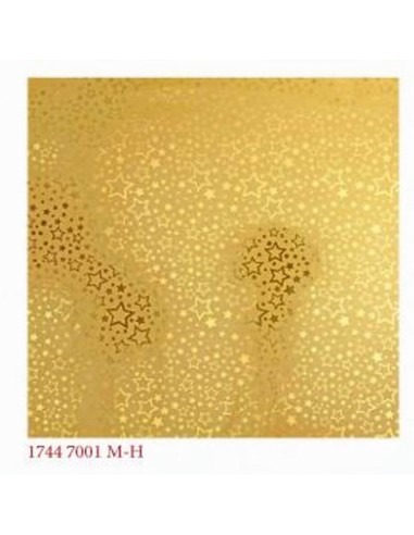 SACCHETTO REGALO 35X50 CM 17447001M-H