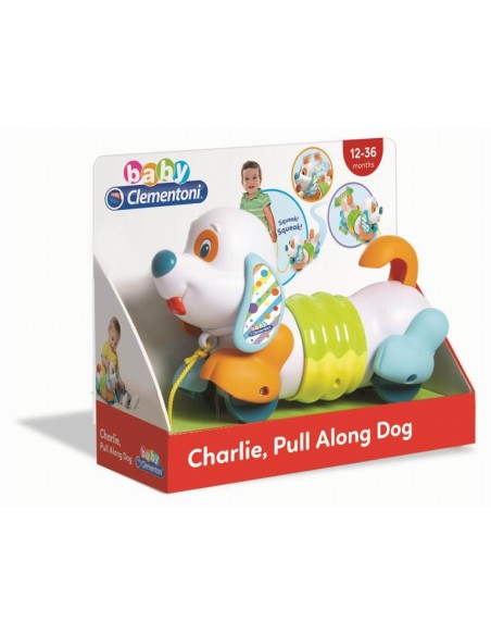 CHARLIE CAGNOLINO TRAINABILE 17262