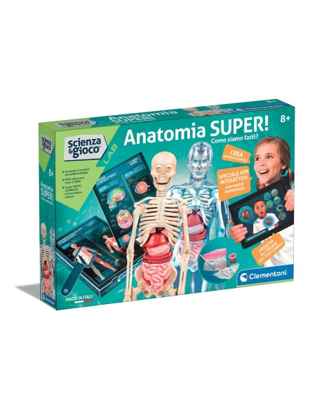 ANATOMIA 19299
