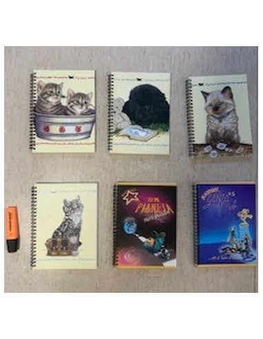 QUADERNO SPIRALE ASSORTITO 73855