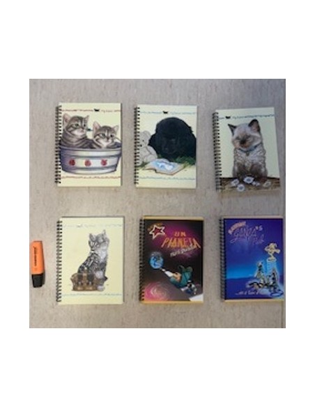 QUADERNO SPIRALE ASSORTITO 73855