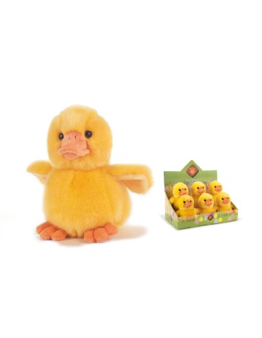 PAPERA QUACK 05243