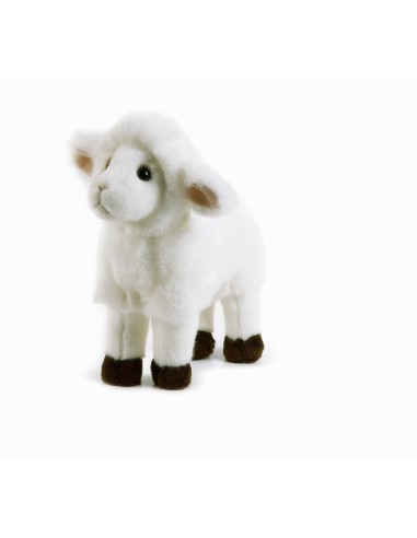 AGNELLINO LAMBERTO 05927