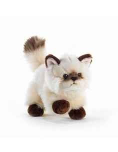 GATTO THAYTOO CM.21 15705