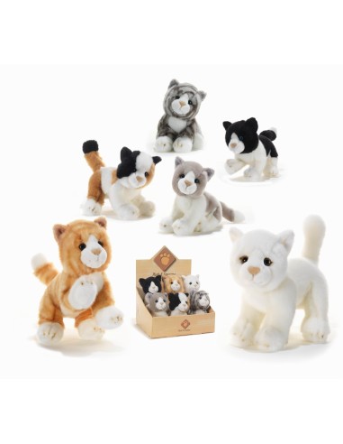 GATTINI MULTIPOSE ASSORTITI 15797