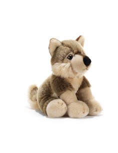 LUPO JARED CM.26 15845