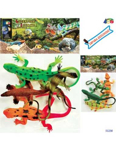 LUCERTOLE E IGUANE 51256