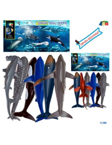 PESCI OCEANO IN BUSTA 51380