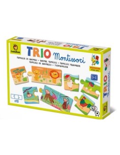 LOGIC MONTESSORI - FAMIGLIE ANIMALI 23850