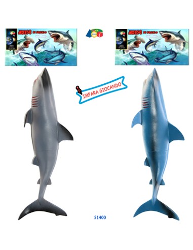 BUSTA  MORSO DI SQUALO  ASS 51400