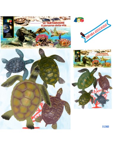 BUSTA TARTARUGHEIL PERCORSO DELLA...