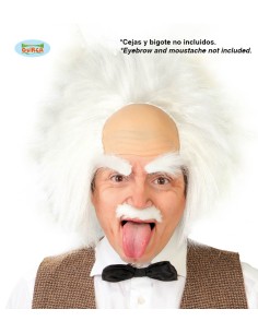 PARRUCCA EINSTEIN 4877
