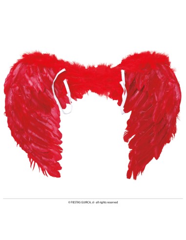 ALI PIUMATE ROSSE, 60x40 CMS. 16265