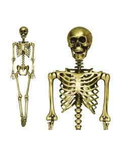 SCHELETRO ORO 160 CM 24939