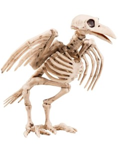 DECORAZIONE CORVO SCHELETRO H CM 18 31228
