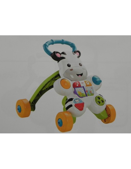 ZEBRA PRIMI PASSI DLD91