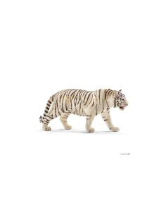 TIGRE BIANCA 14731