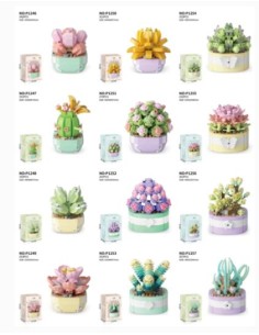 MATTONCINI EXOTIC PLANTS ass. 78040