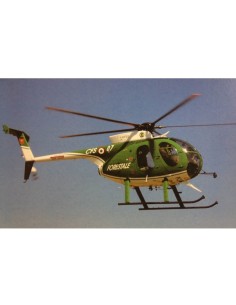 ELICOTTERO CORPO FORES.25323