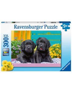 PUZZLE 300 XXL 12950