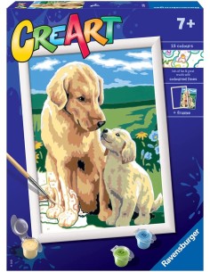 CREART RETRIEVER SUL PRATO 20048