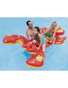 CAVALCABILE ARAGOSTA 57528 213X137