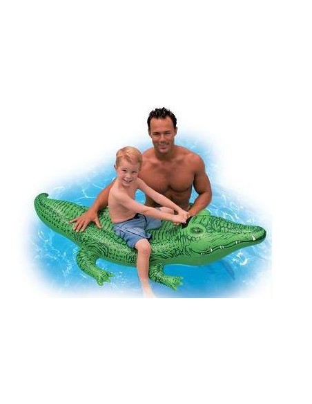 CAVALCABILE ALLIGATORE 168X86 58546