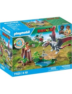 ALLA RICERCA DEL DIMORPHODON 71525