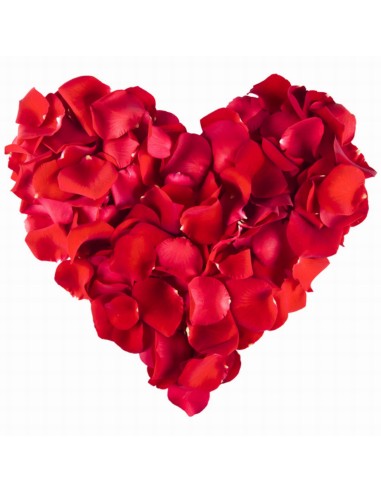 PETALI ROSSI PZ.500 K55173