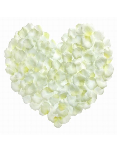 PETALI BIANCHI PZ.500 K55174