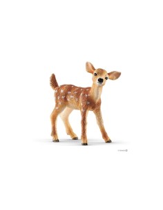 CERBIATTO VIRGINIANO  14820