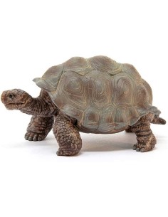 TARTARUGA GIGANTE 14824