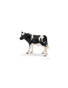 VITELLO HOLSTEIN 13798