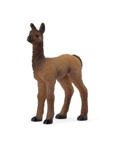 CUCCIOLO DI LAMA 14890