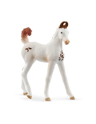 PULEDRO MARWARI  14896