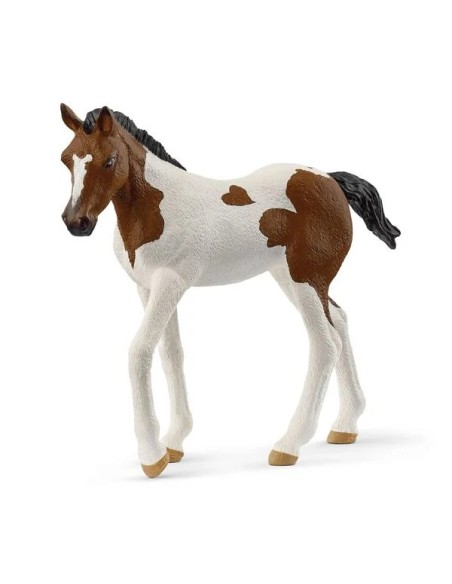 PULEDRO PAINT HORSE 14899