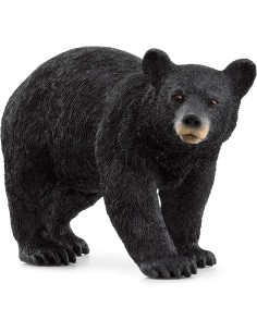 ORSO NERO AMERICANO 14869
