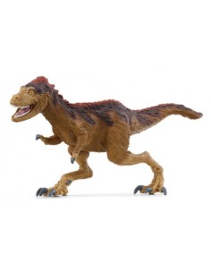 MOROS INTREPIDUS 15039