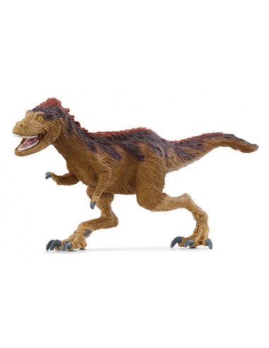 MOROS INTREPIDUS 15039