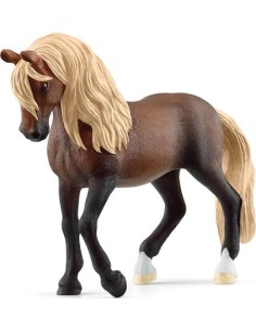 STALLONE PASO PERUVIANO  13952