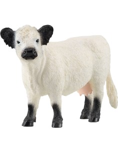 MUCCA GALLOWAY 13960