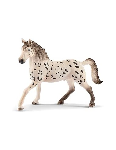 STALLONE KNABSTRUPPER 13889