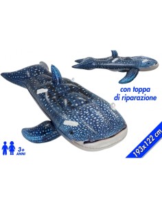 CAVALCABILE SQUALO 41482