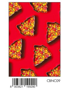 CARTA REG. NATALE 70x100 FOTOGRAFICA CBNC09