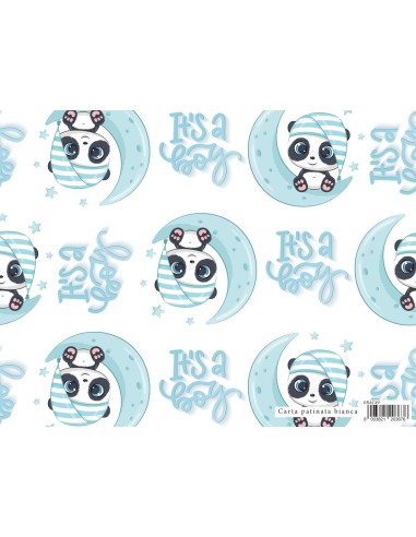 CARTA REGALO 70X100 BABY PANDA BOY...