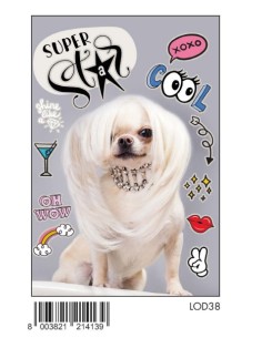 BIGLIETTO ANIMALI FOTOGRAFICI C/FOIL OLOGRAFICO LOD38