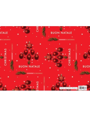 CARTA REG. NATALE 70x100 FOTOGRAFICA...