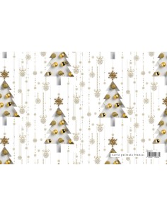 CARTA REG. NATALE 70x100 FOTOGRAFICA CBND15