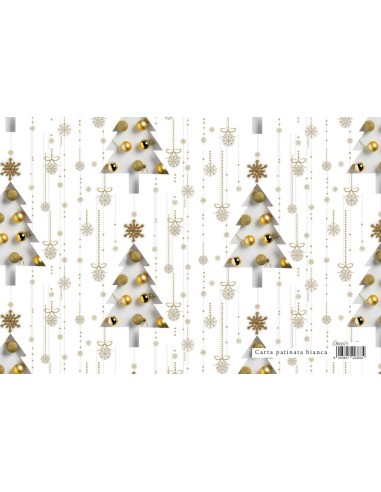 CARTA REG. NATALE 70x100 FOTOGRAFICA...