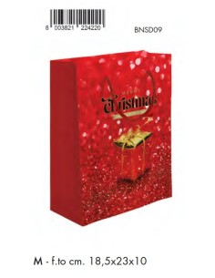 SHOPPER CHRISTMAS REGALO 18,5x23+10 M  BNSD08